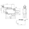 GBC 24.2866.25 - Limit switch with blade Switches GBC 24.2866.25 - Limit switch with blade Switches